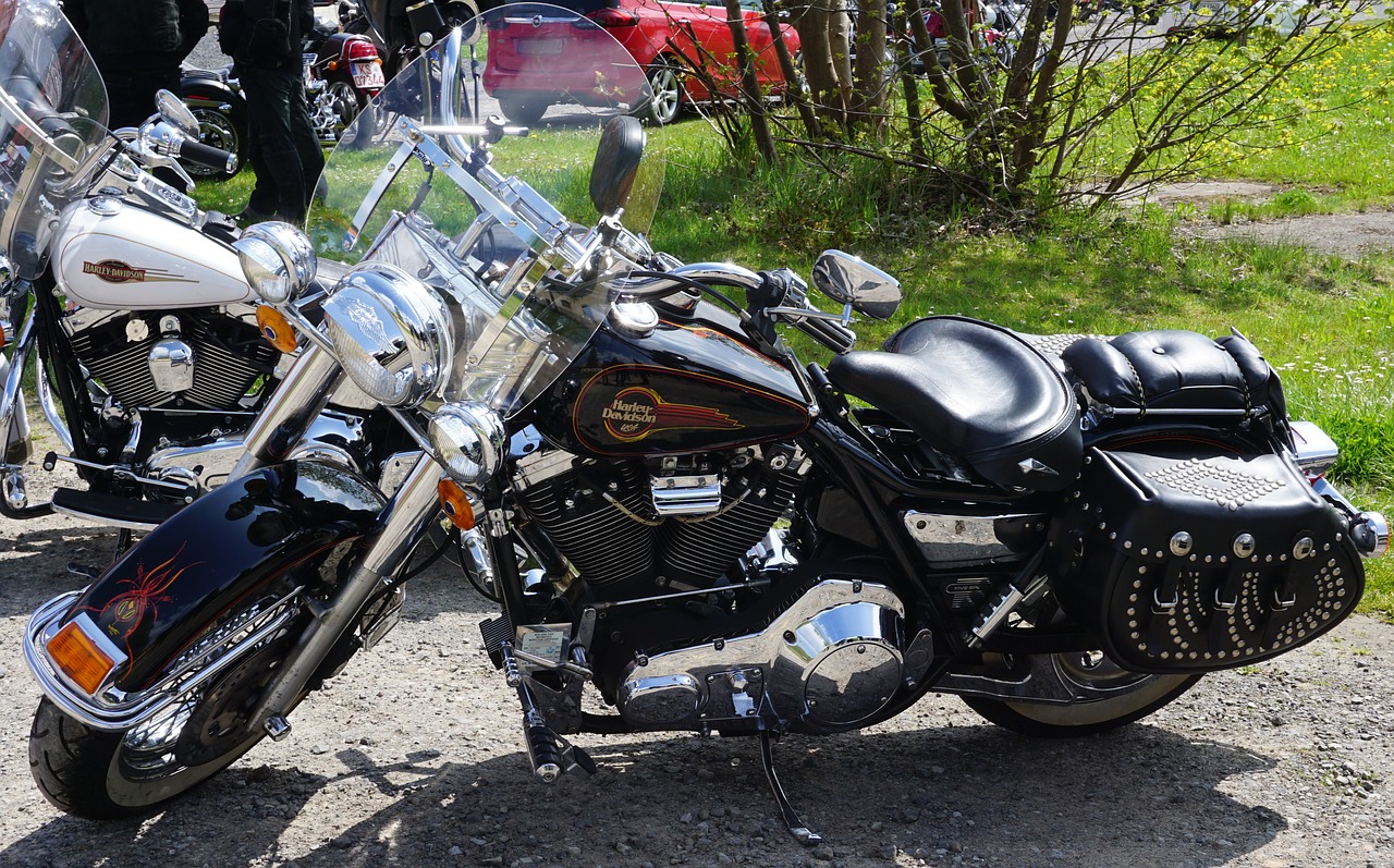 harley davidson motorcycle motorcycles free photo