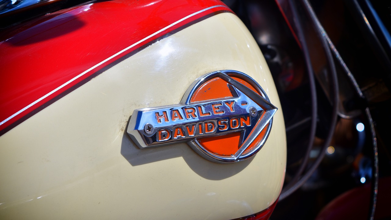 harley davidson  bike  motorcycle free photo