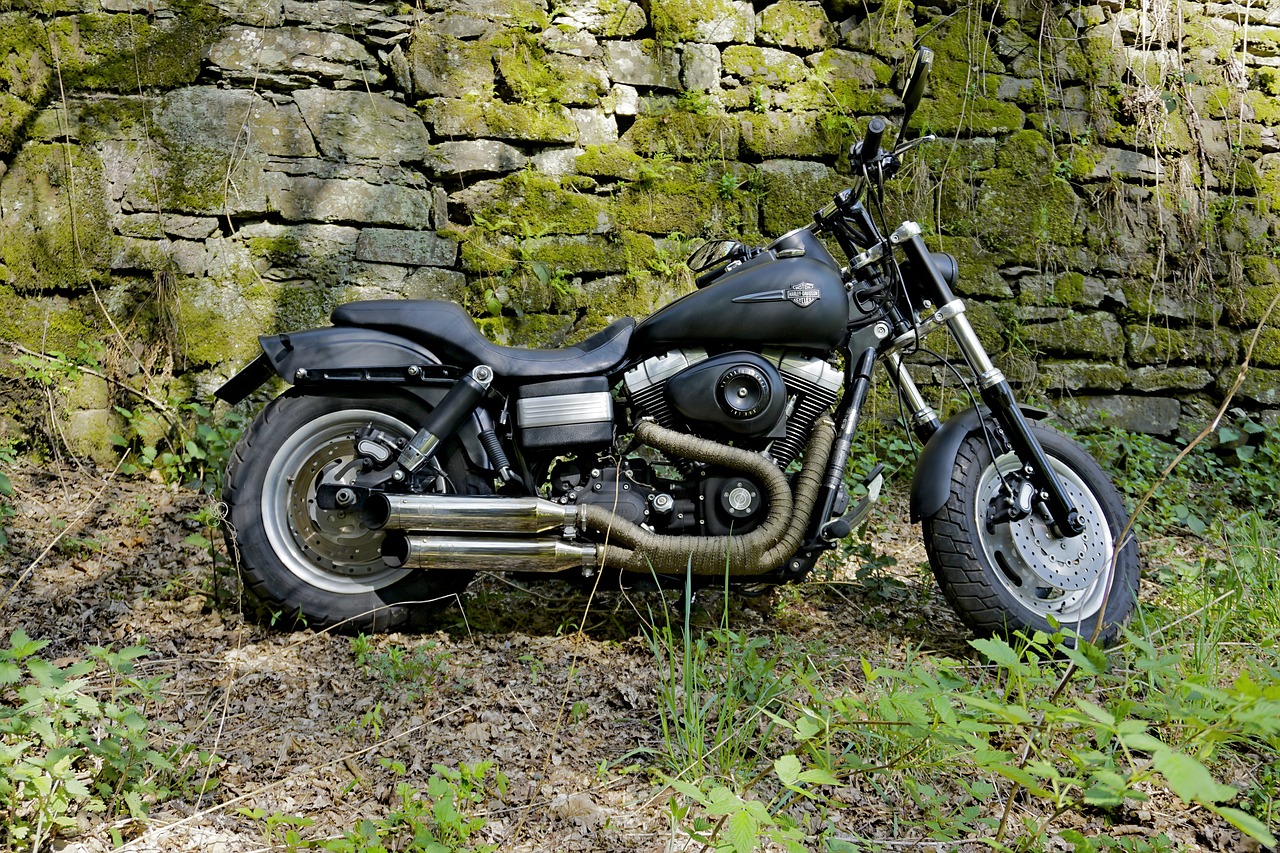 harley davidson  fatbob  wall free photo