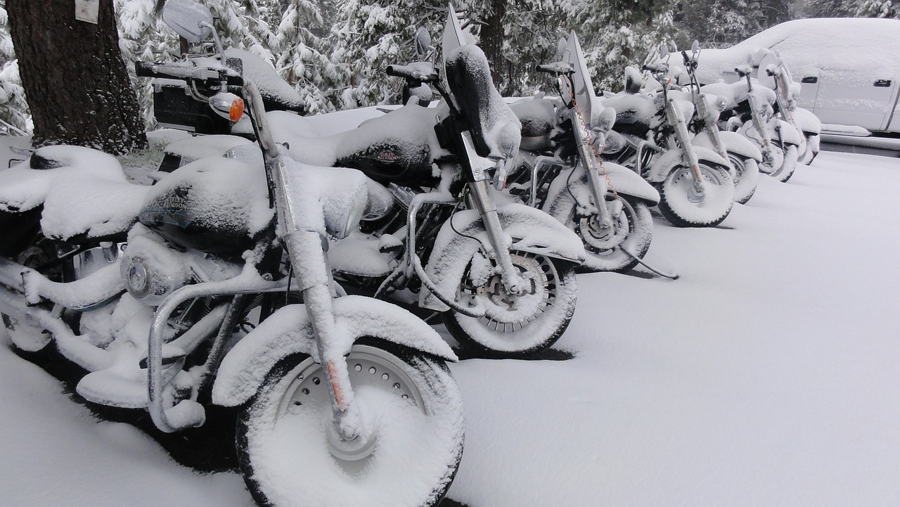 harley davidson motorcycle snow free photo