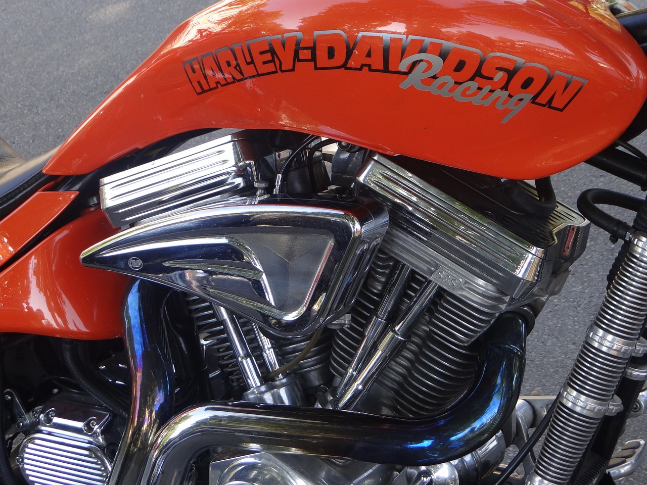 harley davidson motorcycle chrome free photo