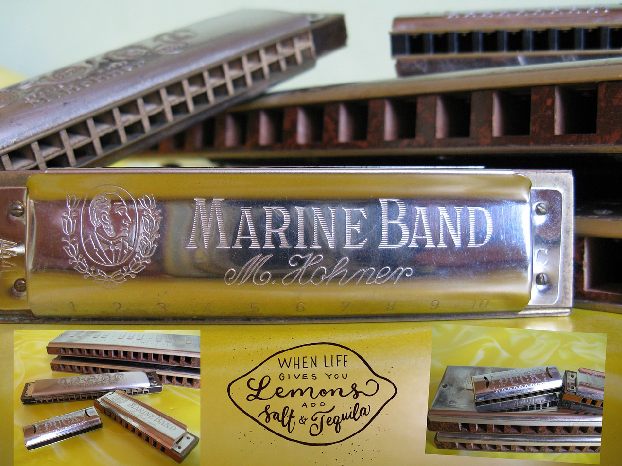 harmonica instruments music free photo