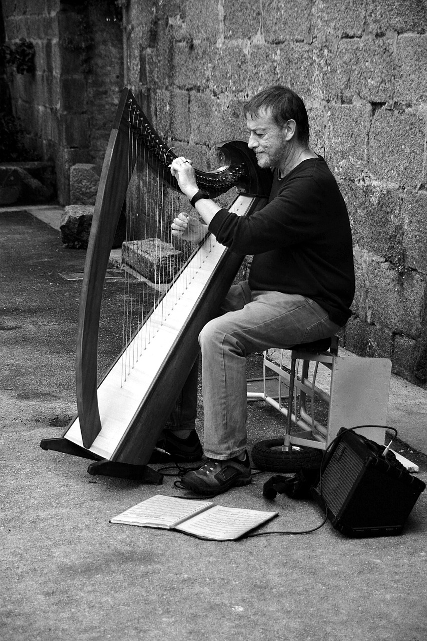 harp harpist strings free photo