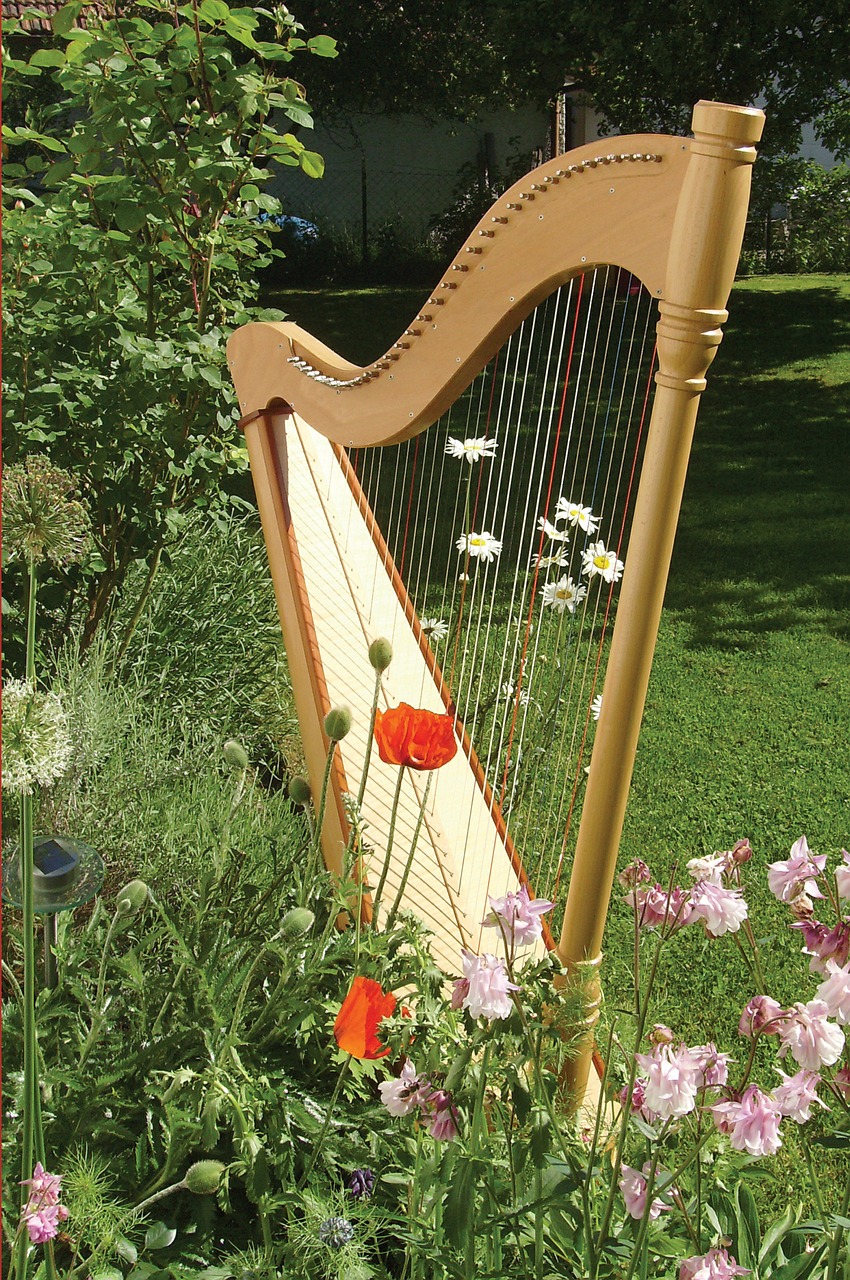 harp music musical instrument free photo