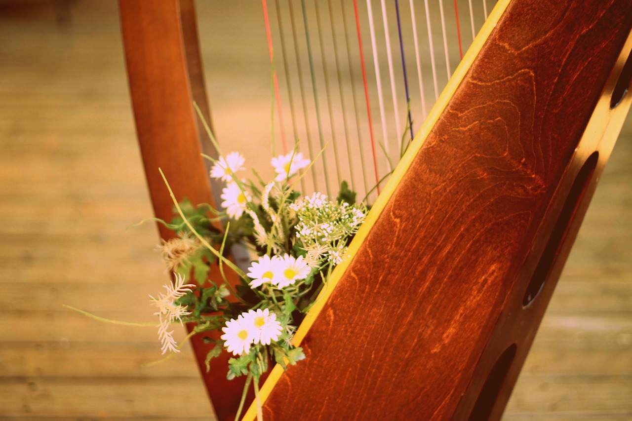 harp harp with flowers harp strings free photo
