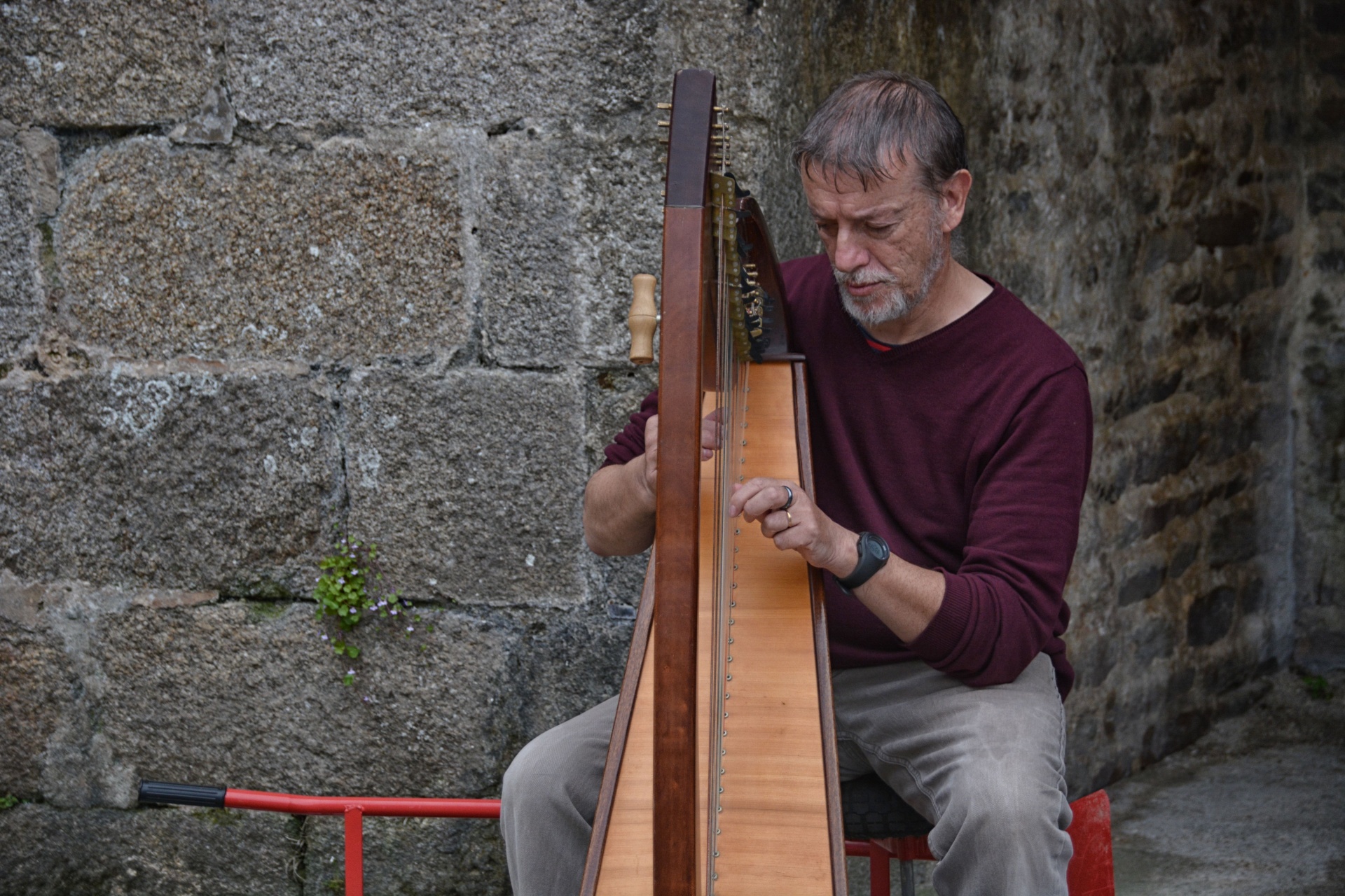 harp harpist musician free photo