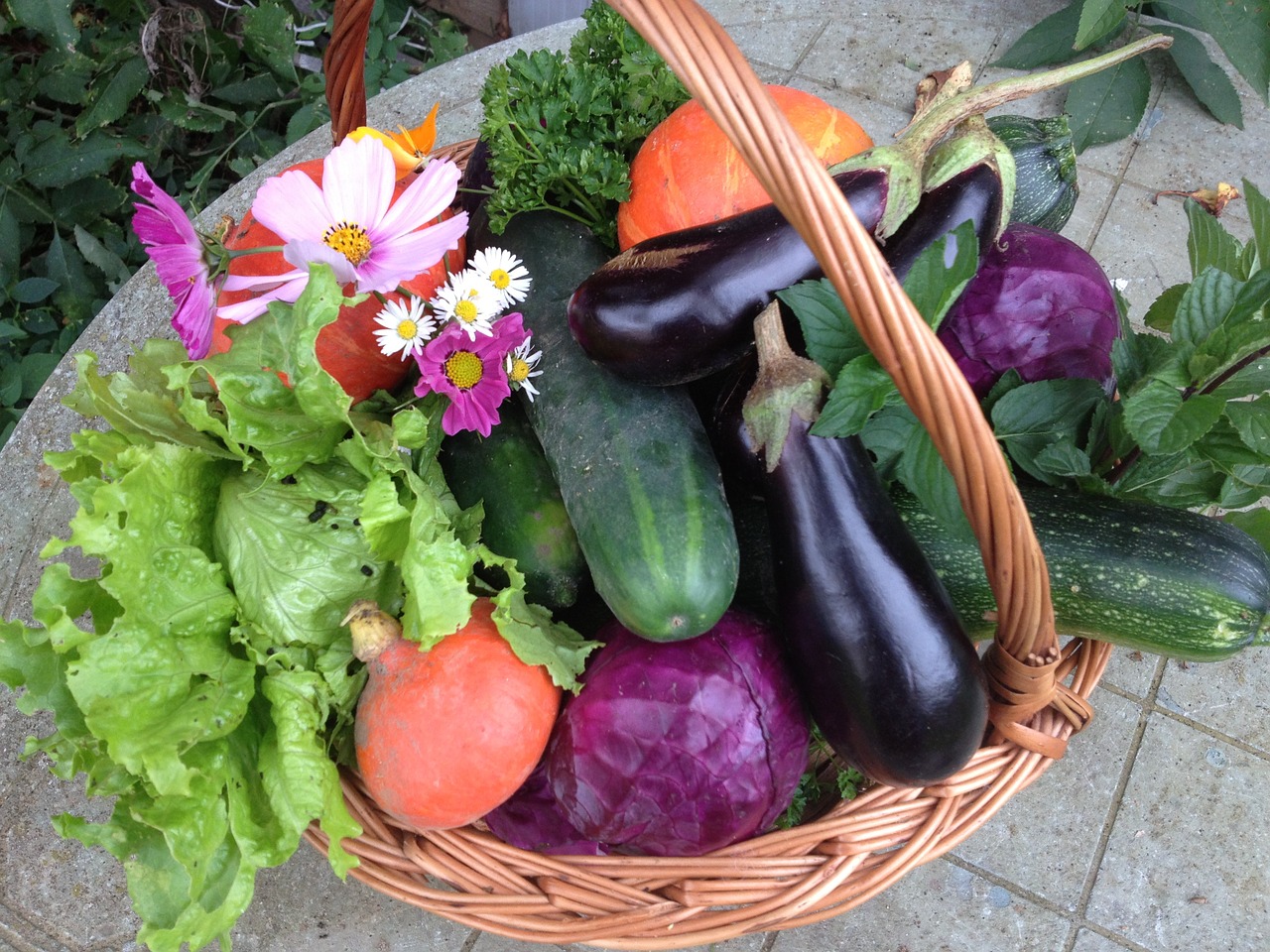 harvest vegetables food free photo