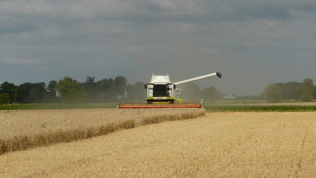 harvest grain combine free photo