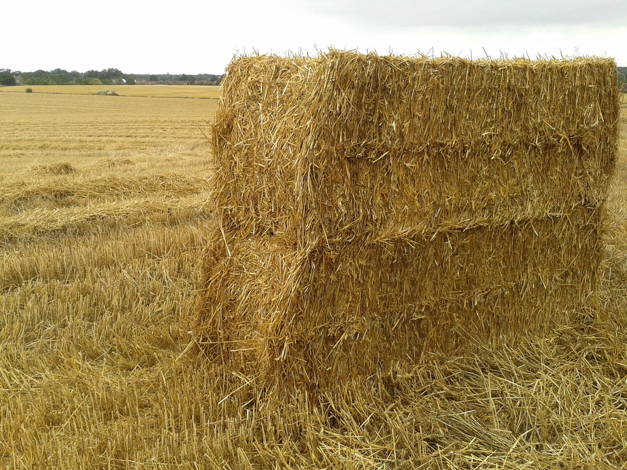 harvest haystack fall free photo