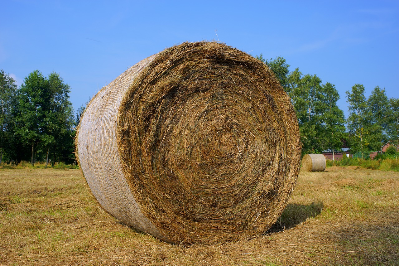 harvest rundballepresser hay free photo