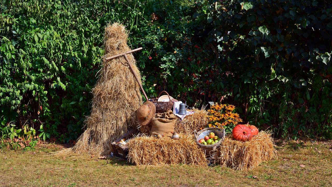 harvest harvest festival thanksgiving free photo