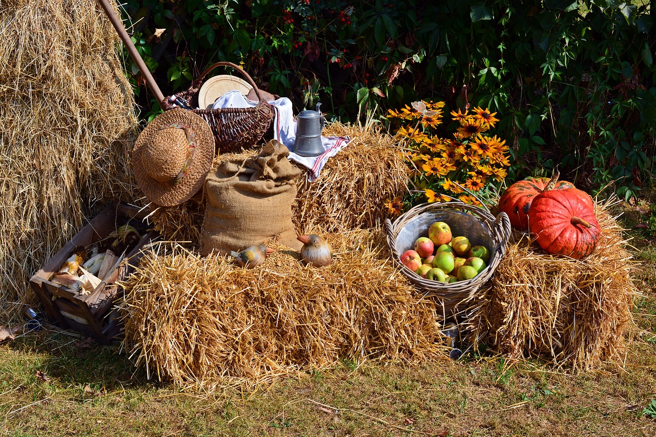 harvest harvest festival thanksgiving free photo