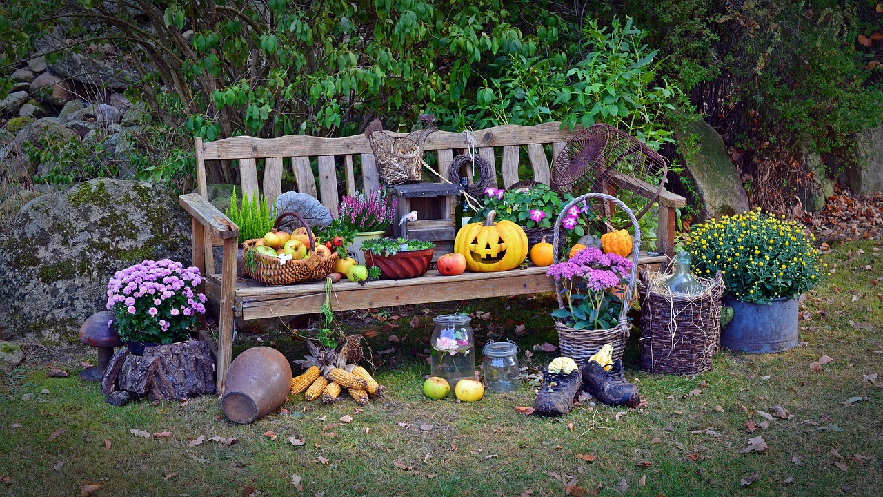 harvest harvest festival thanksgiving free photo