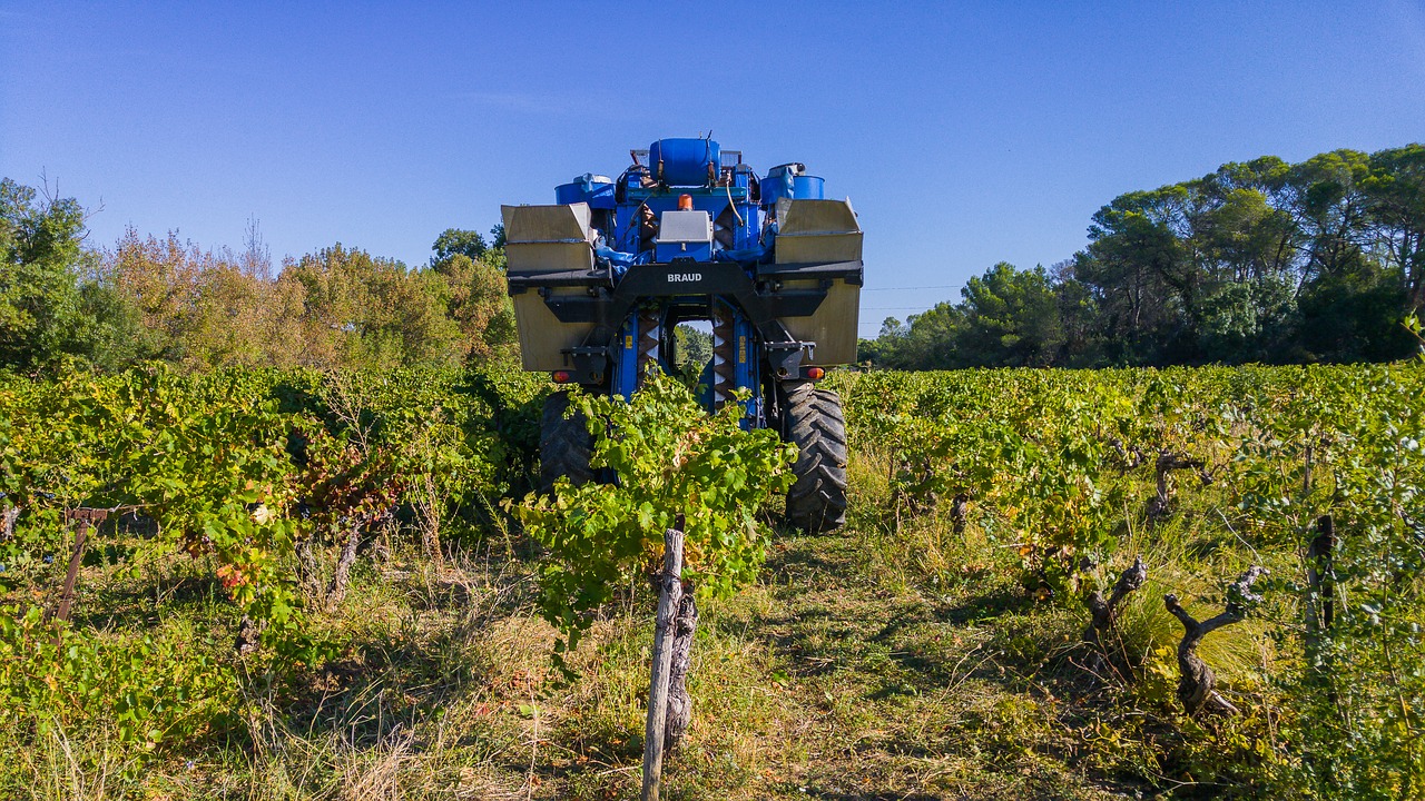 harvest grape harvesting machine agricultural machine free photo