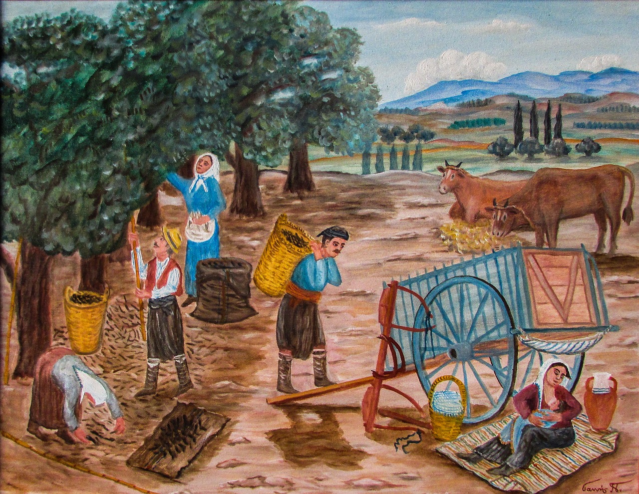 carob harvest harvest rural life free photo