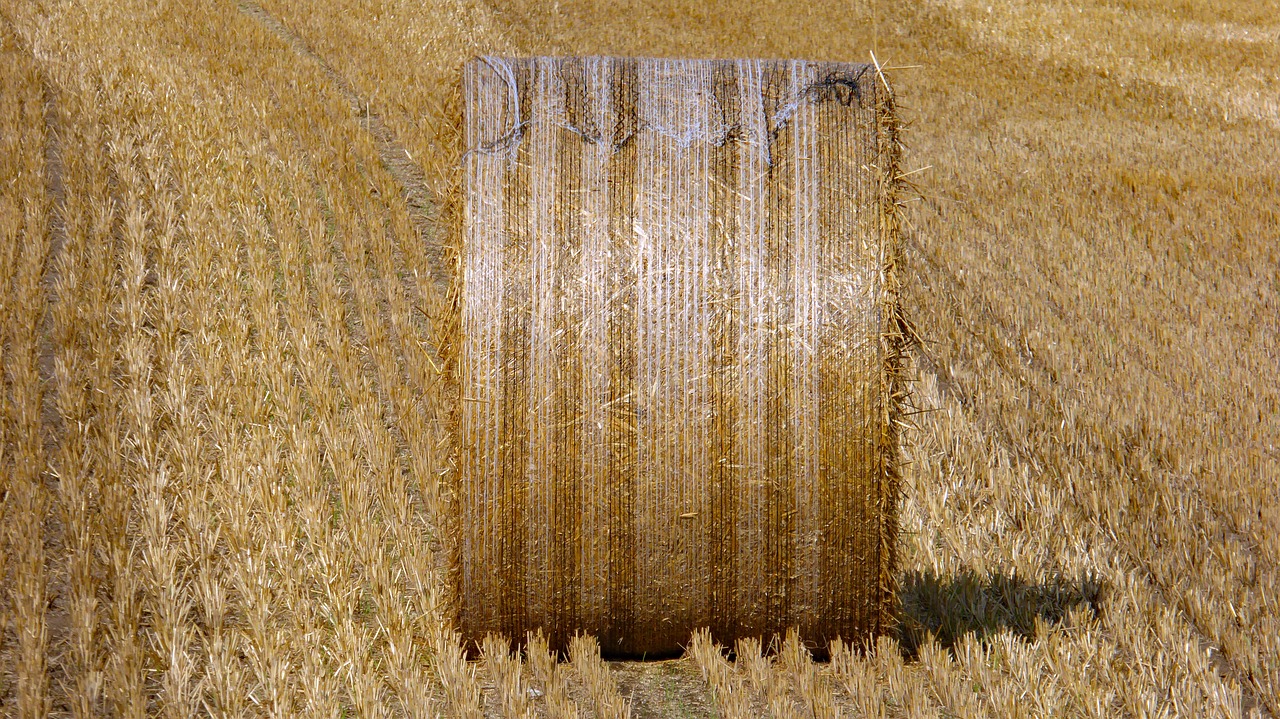 harvest hay agriculture free photo