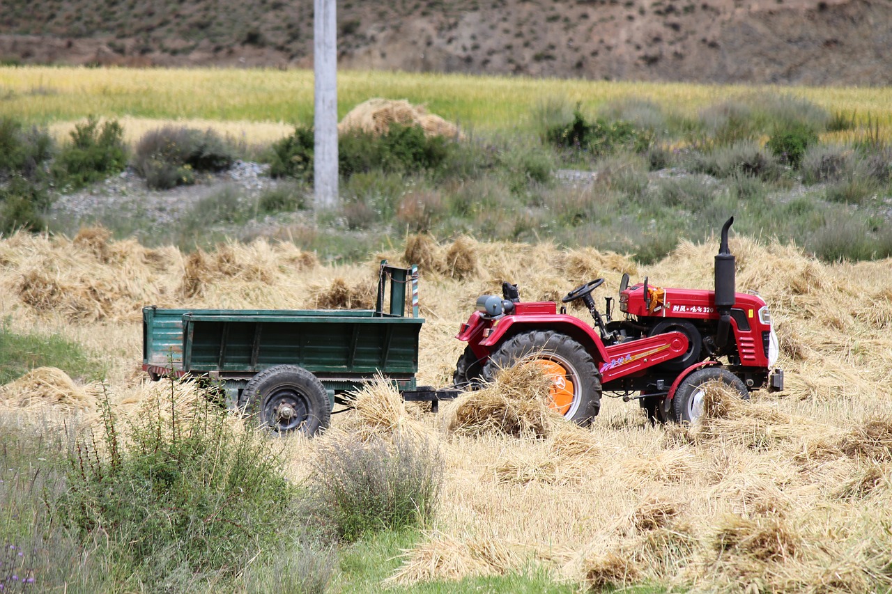 harvest tractor ye tian free photo