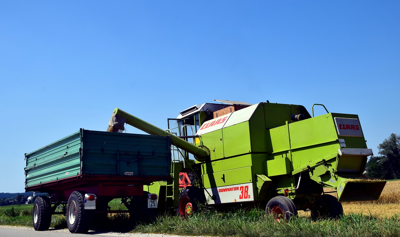 harvest grain harvest agriculture free photo