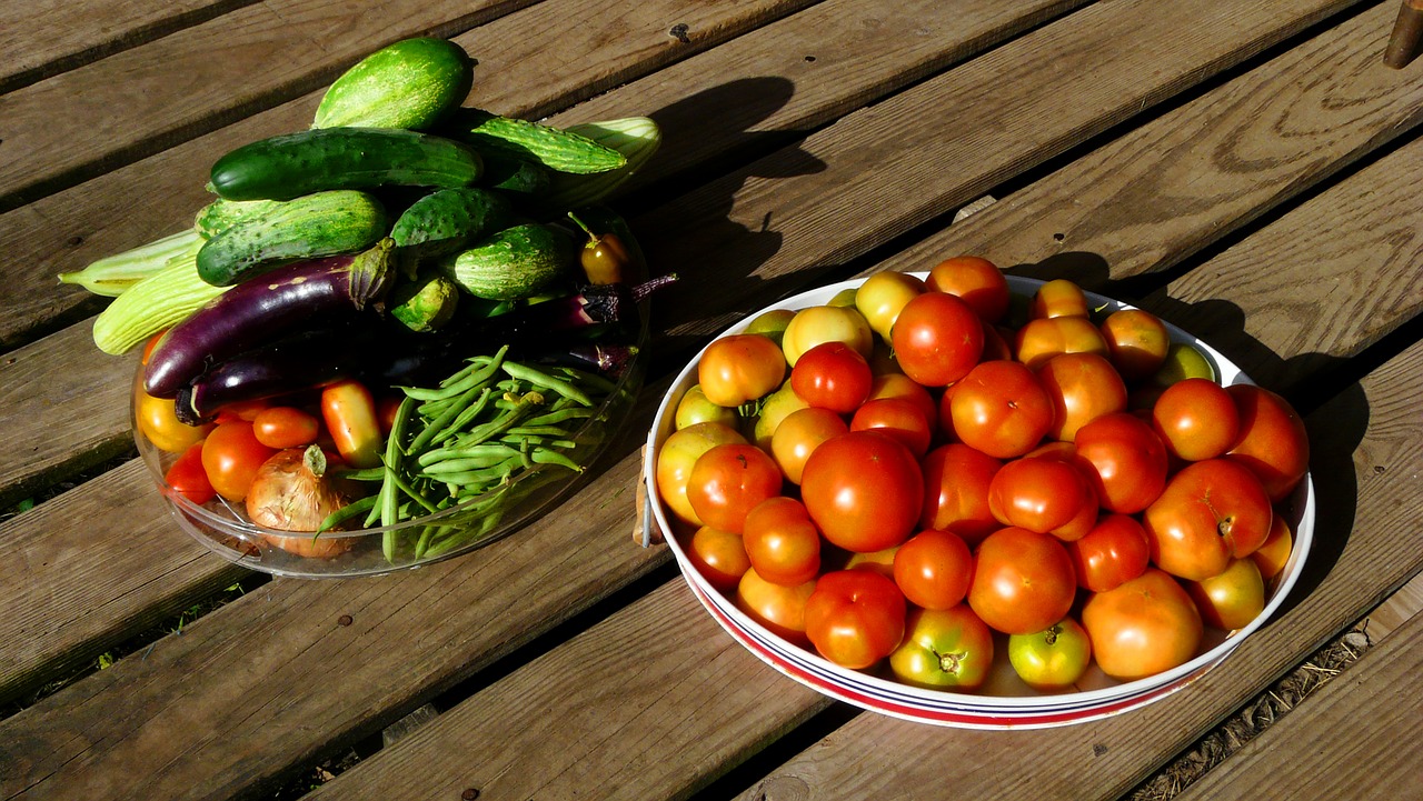 harvest garden tomatoes free photo