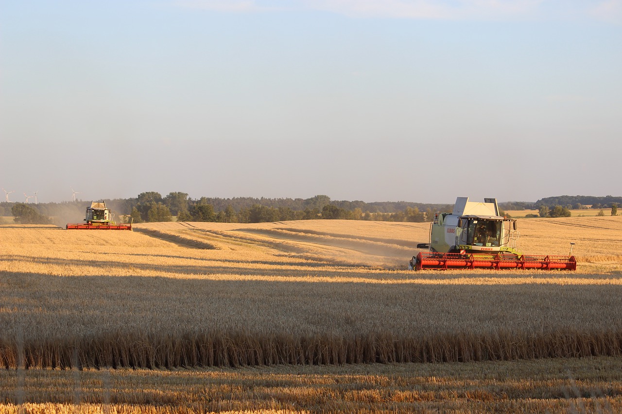 harvest  summer  agriculture free photo