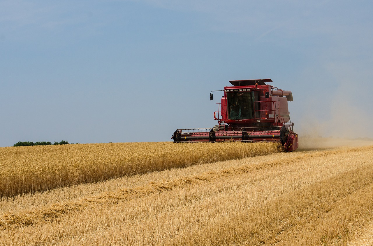 harvest  crops  agriculture free photo