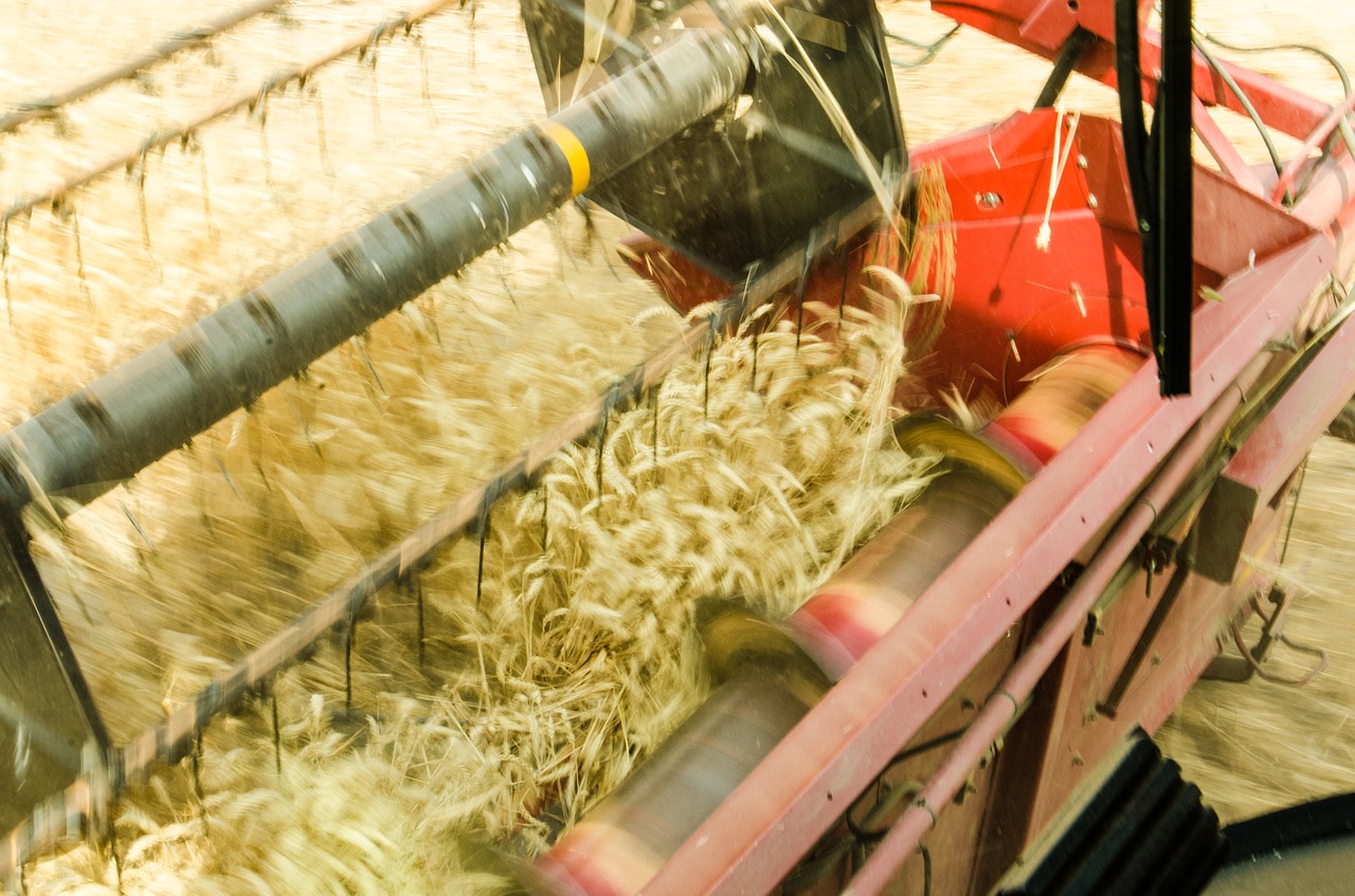 harvest  crops  agriculture free photo