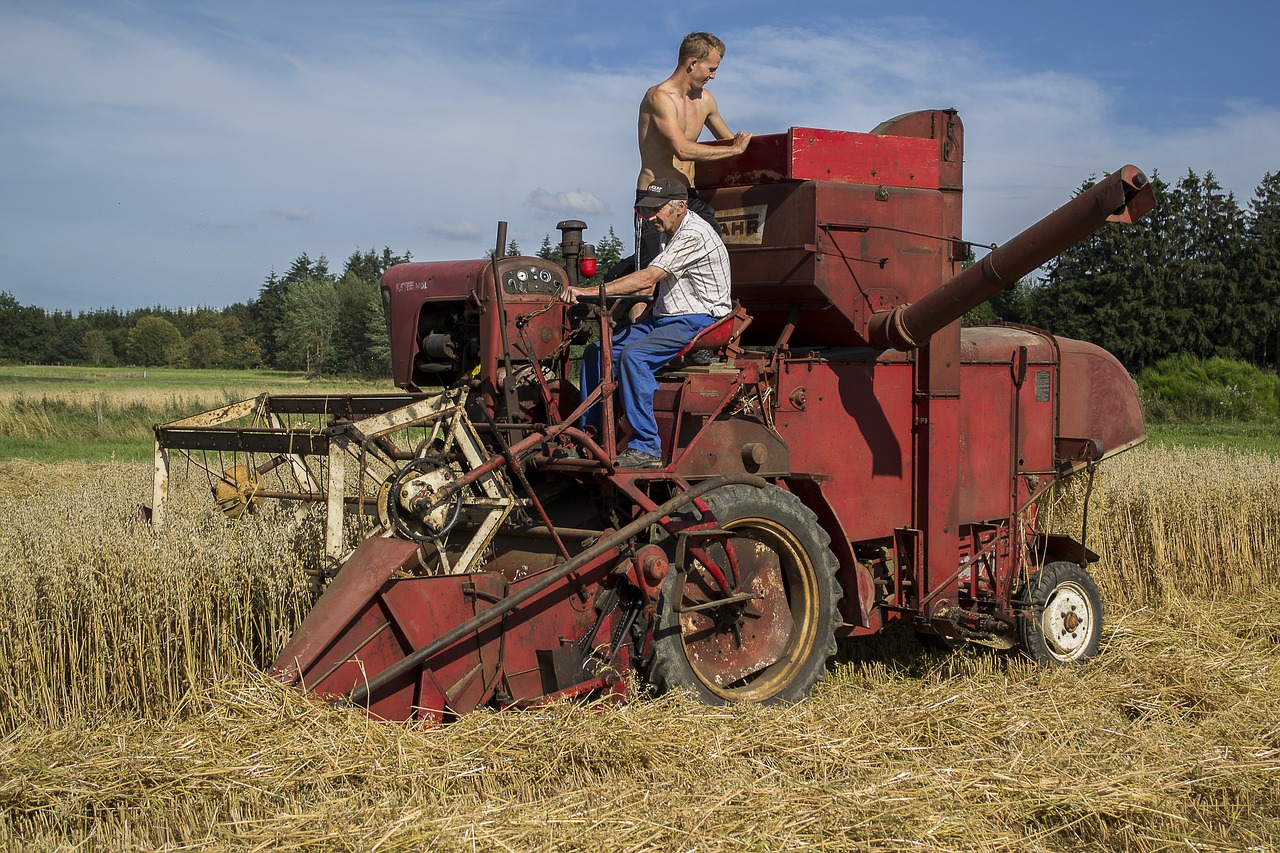 harvest  old  harvester free photo