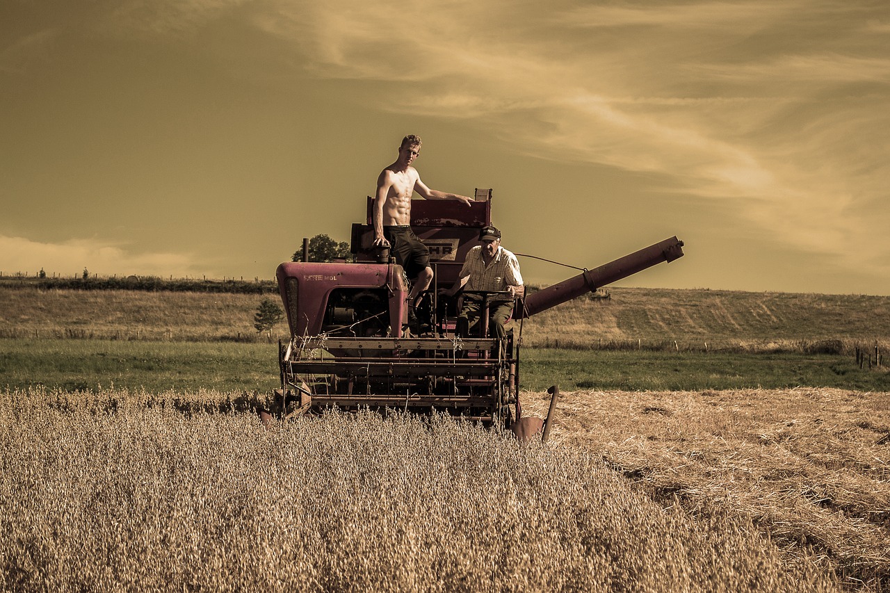 harvest  harvester  agriculture free photo