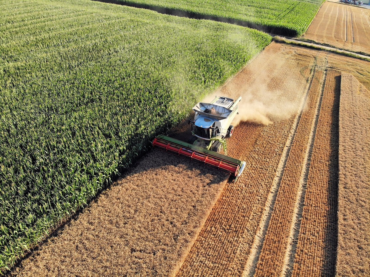 harvest  farmers  combine harvester free photo