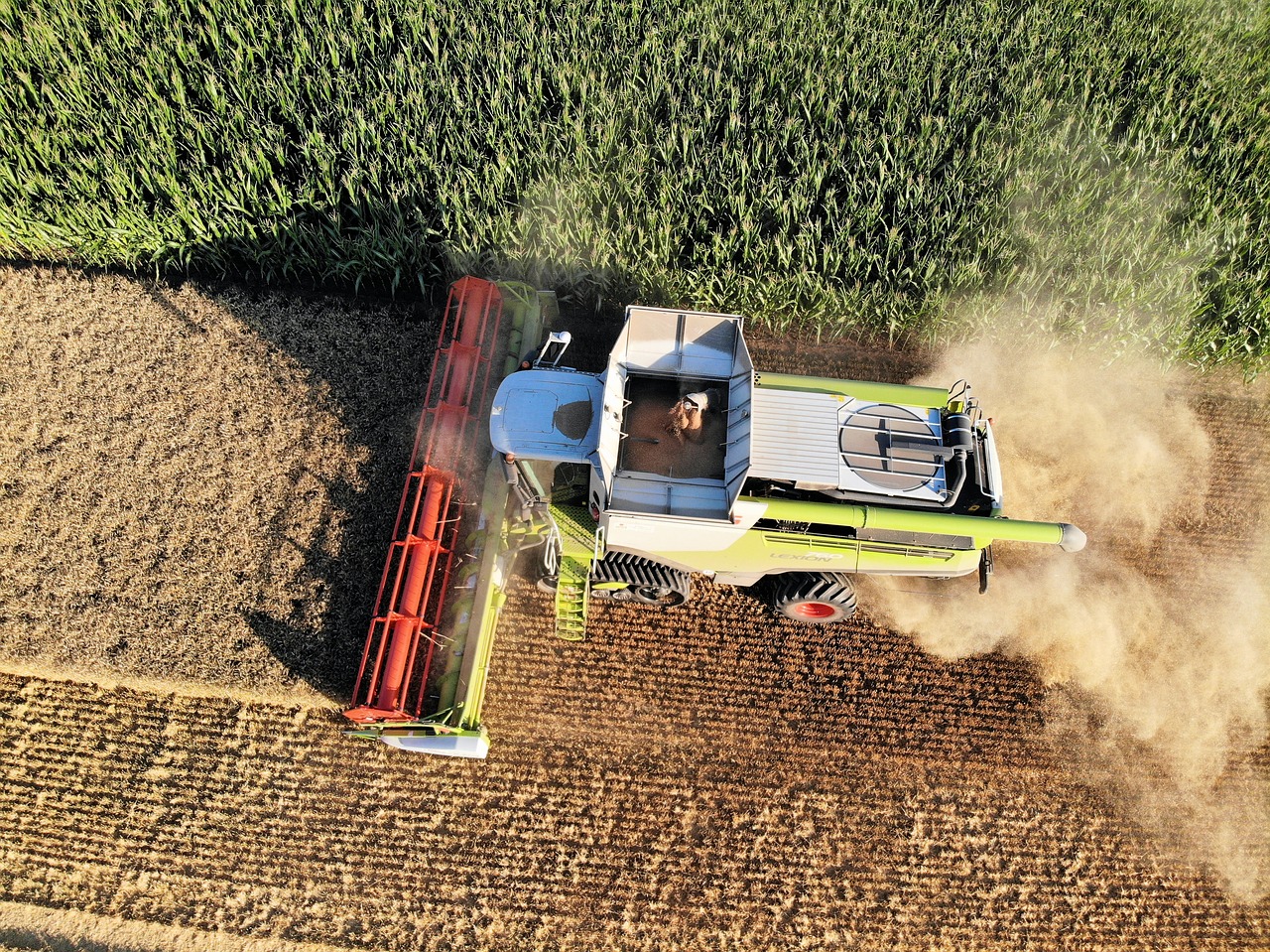 harvest  farmers  combine harvester free photo