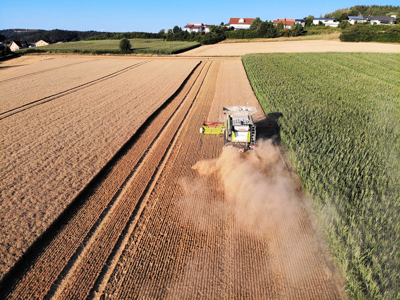 harvest  farmers  combine harvester free photo