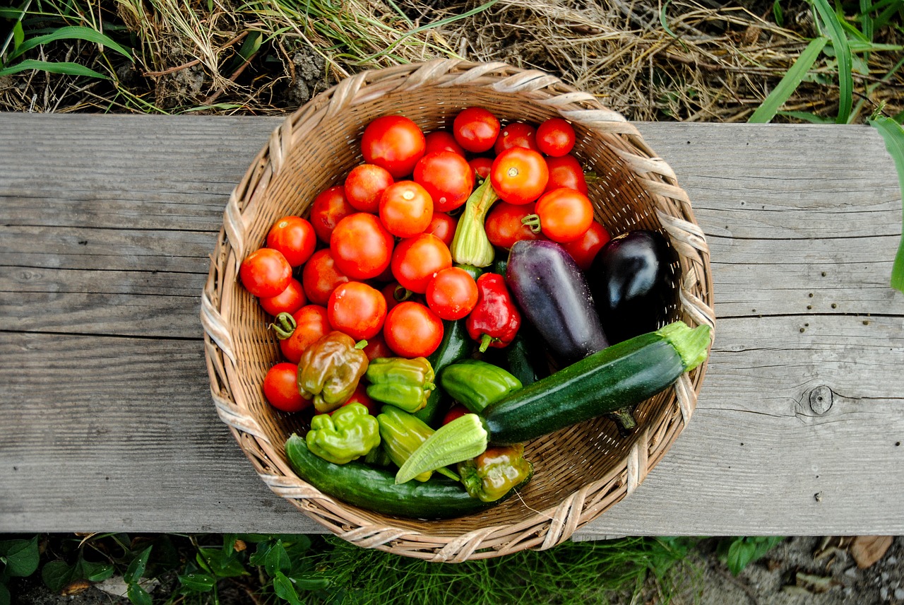 harvest  tomato  pumpkin free photo