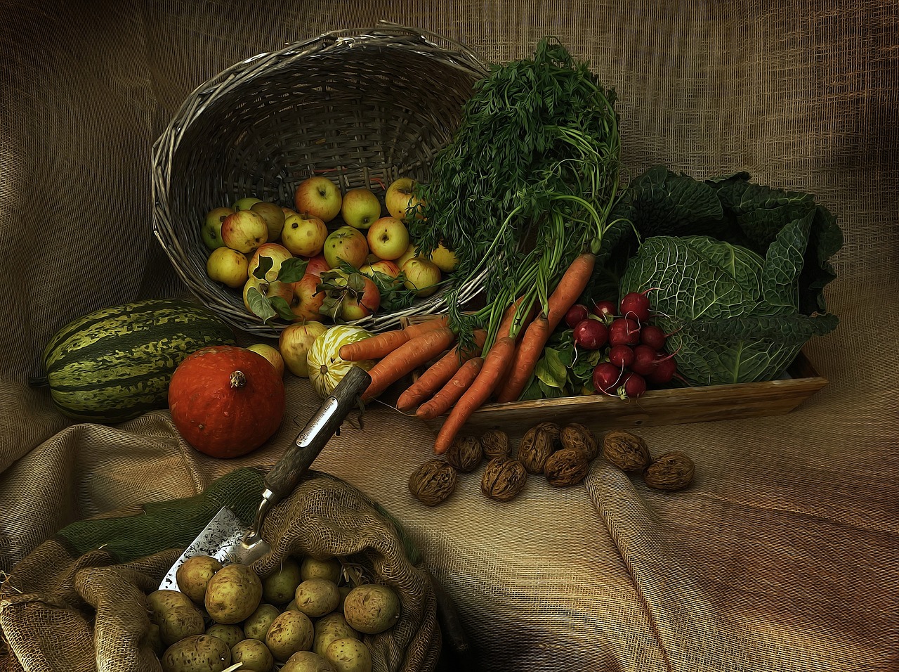 harvest  thanksgiving  pumpkin free photo