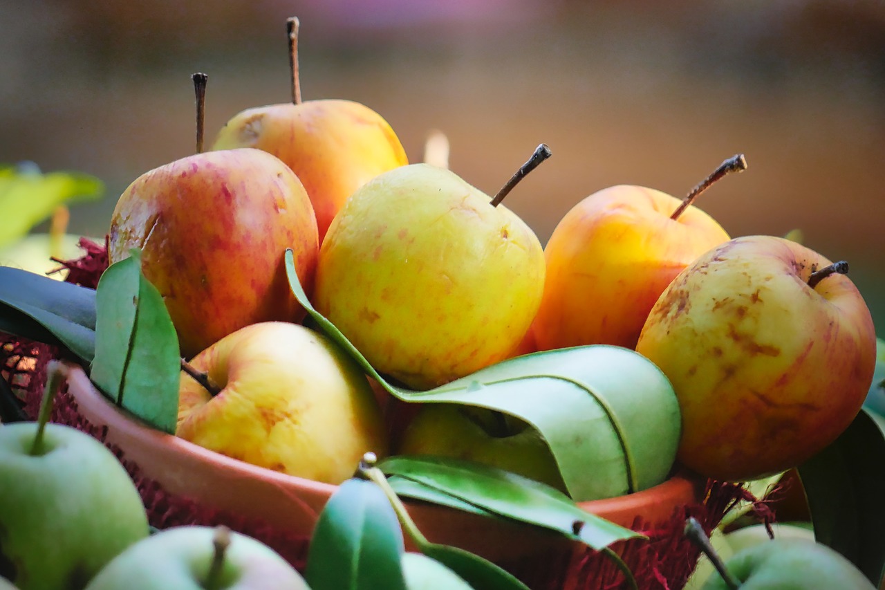 harvest  autumn  apple free photo