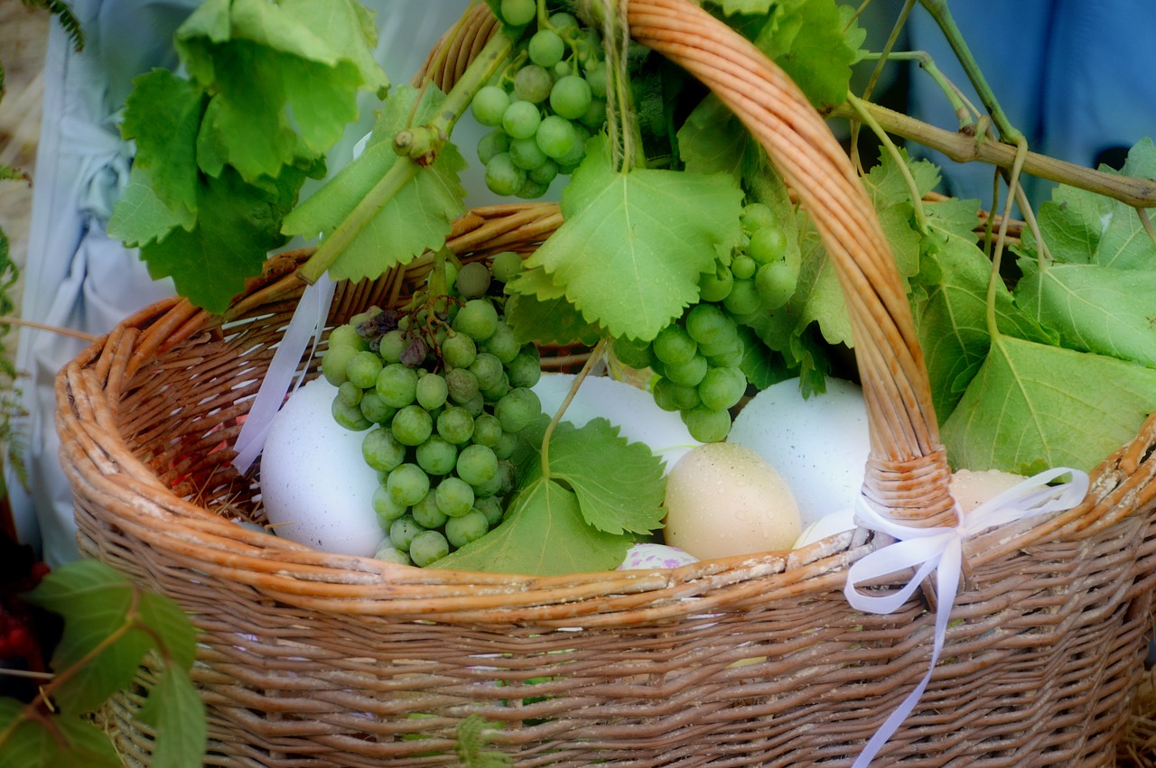 harvest  agriculture  nature free photo