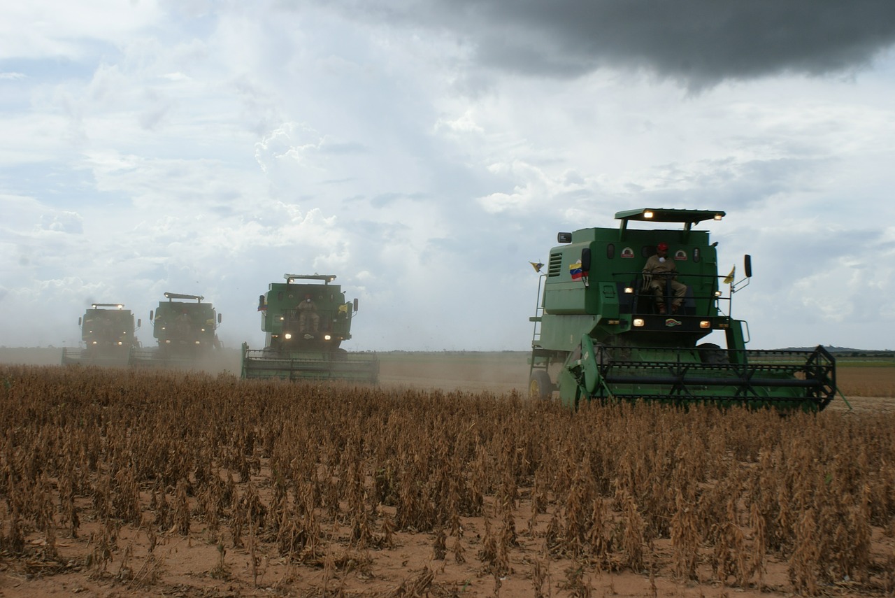 harvest soy landscape free photo