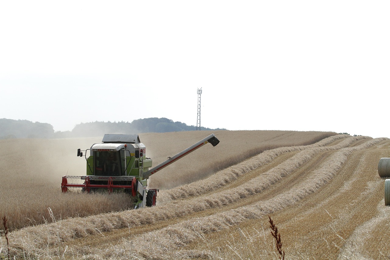 harvest agriculture field free photo