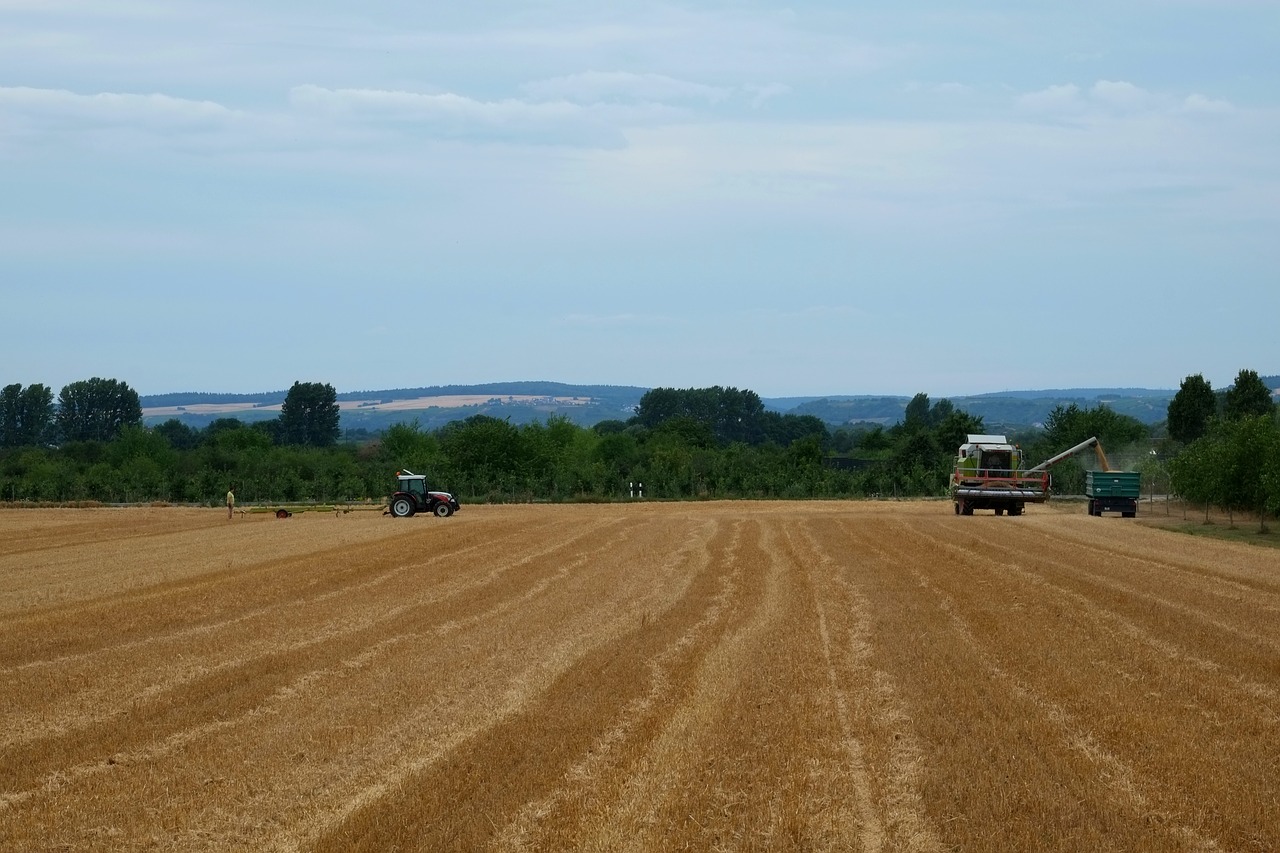 harvest agriculture field free photo