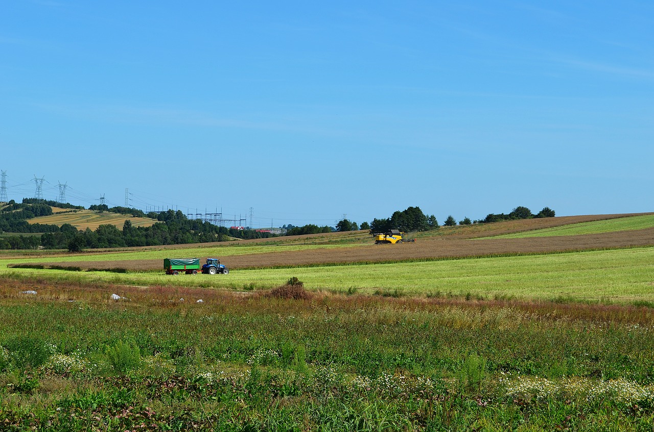 harvest combine corn free photo