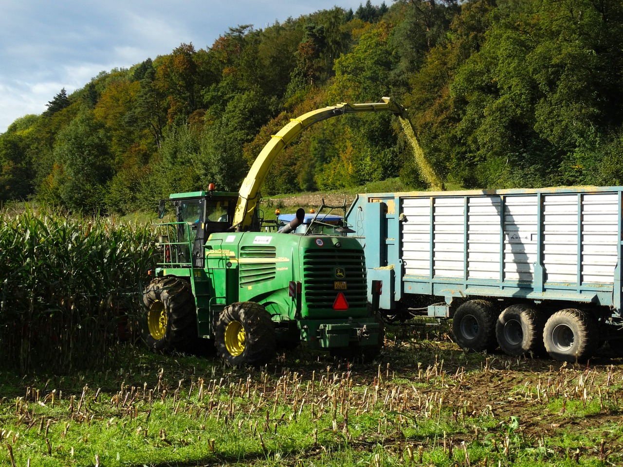 harvest time corn harvest harvest free photo