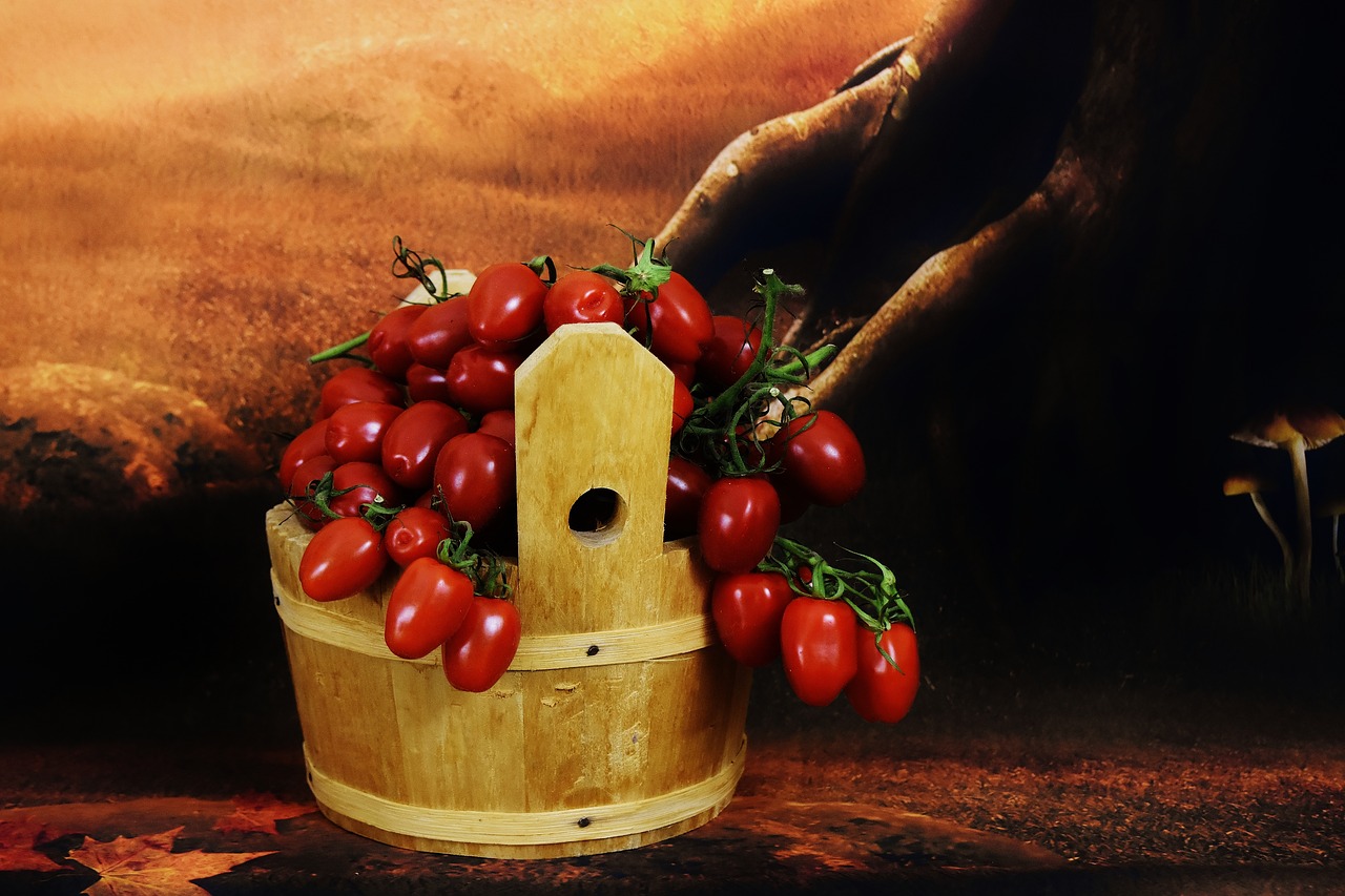harvest tomatoes wooden bucket vegetables free photo