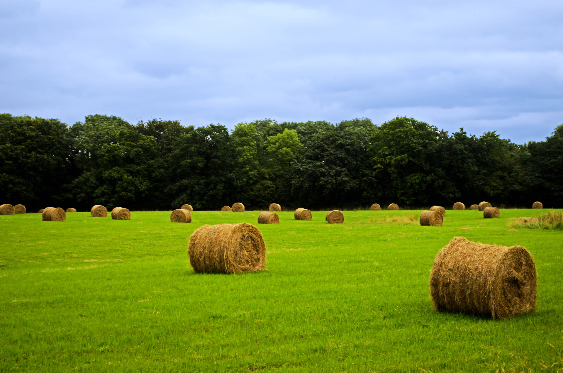 agricultural agriculture autumn free photo