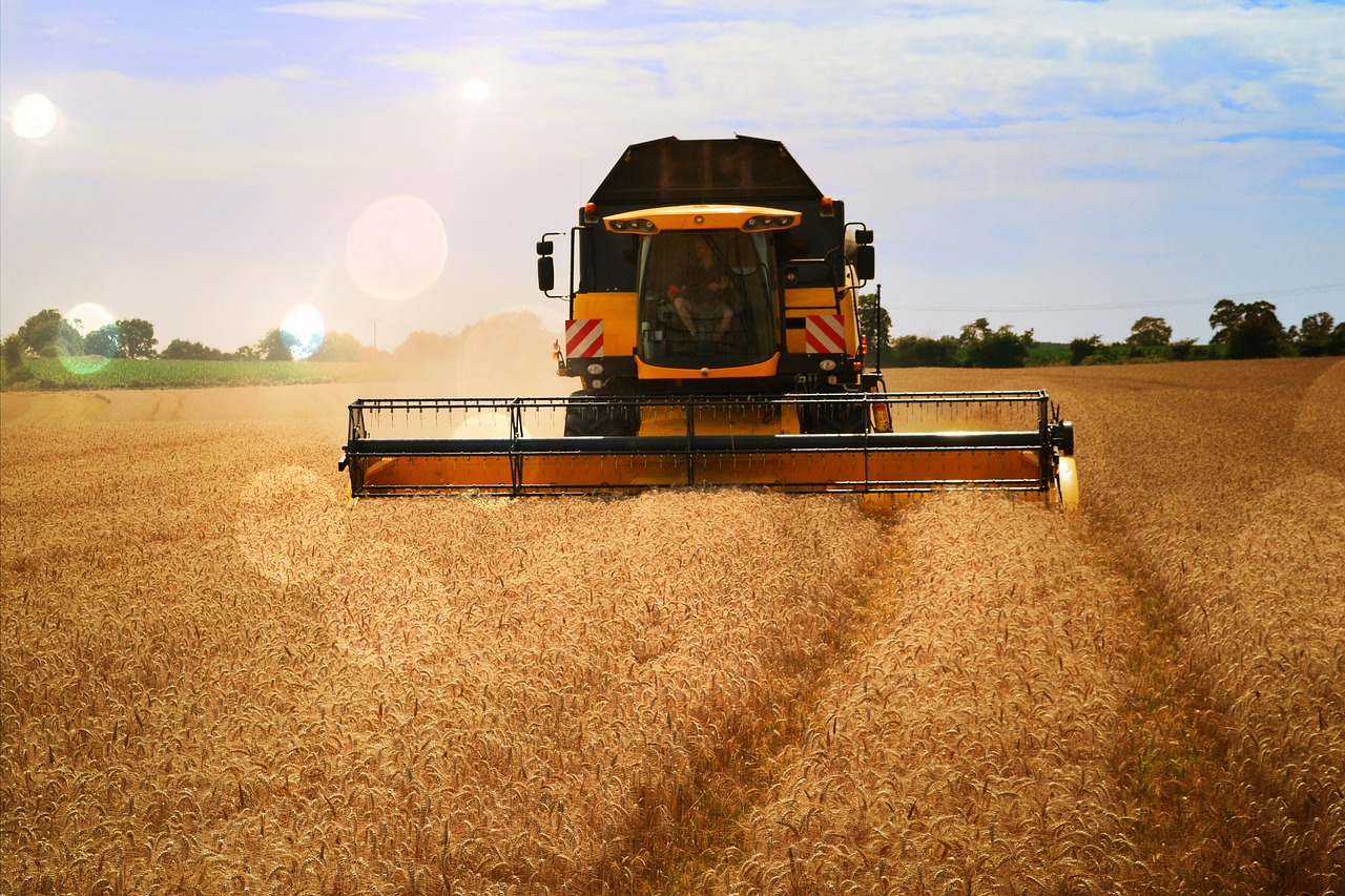 harvester wheat harvest free photo