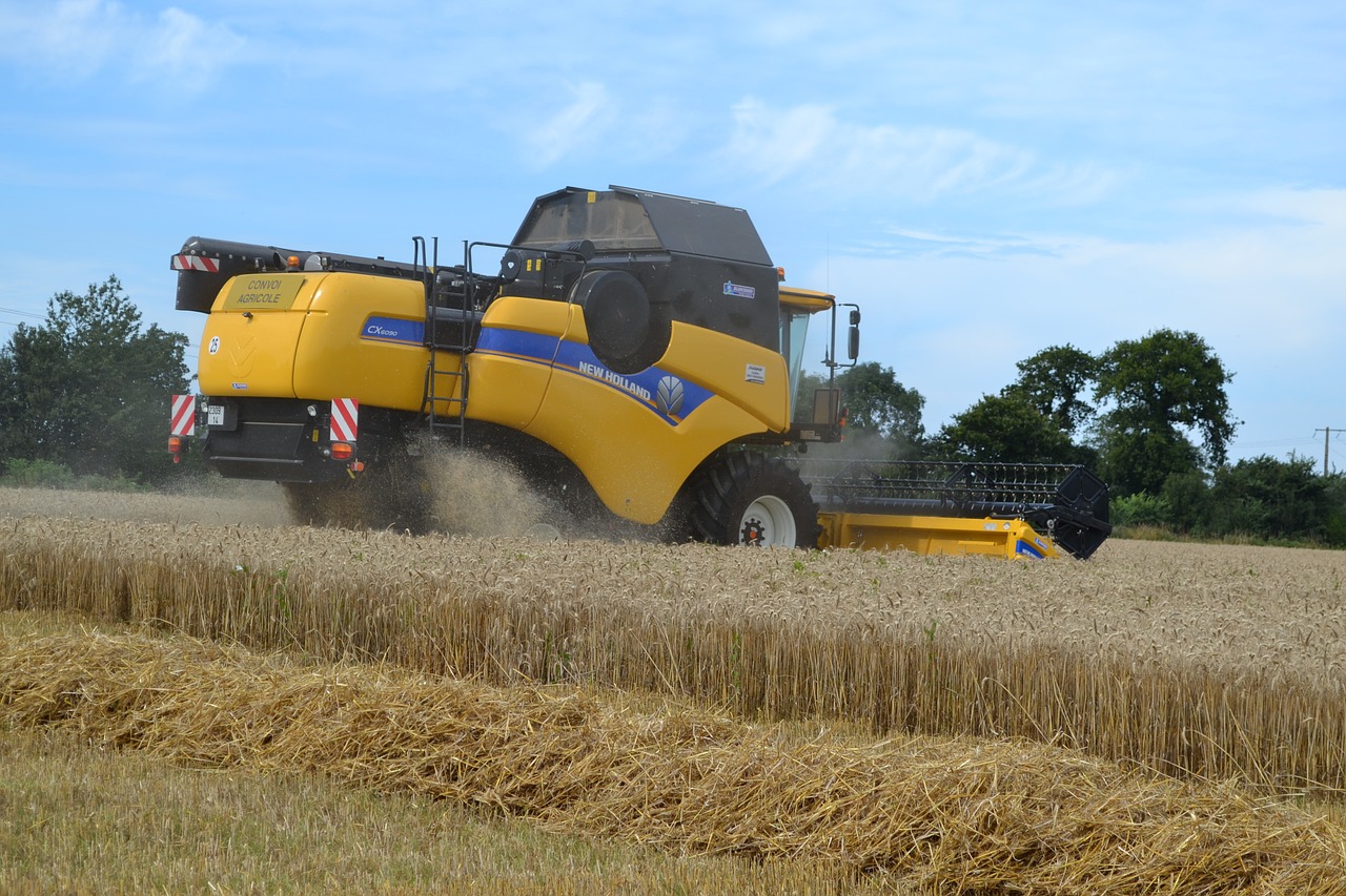 harvester wheat harvest free photo