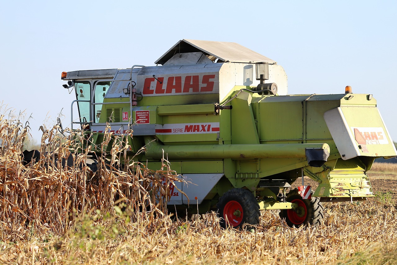 harvester claas dominator 98 sl  in the field  corn harvesting free photo