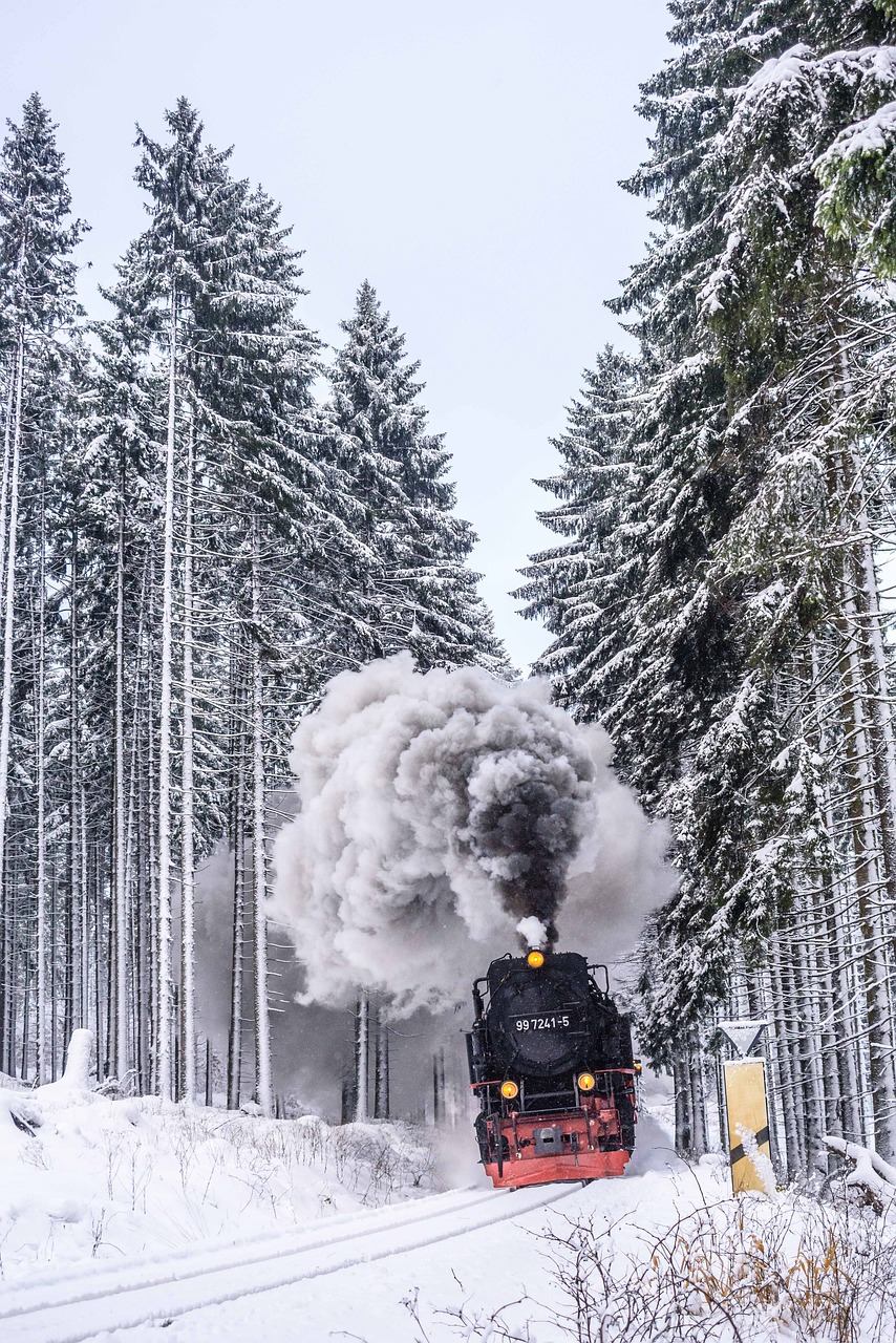 harzer schmalspuhrbahn wintry full steam free photo