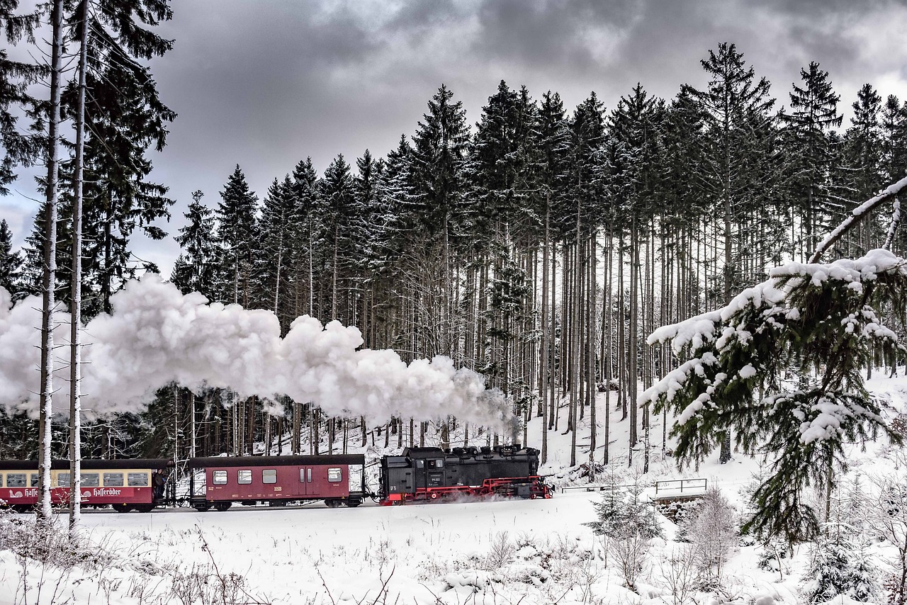 harzer schmalspuhrbahn wintry full steam free photo