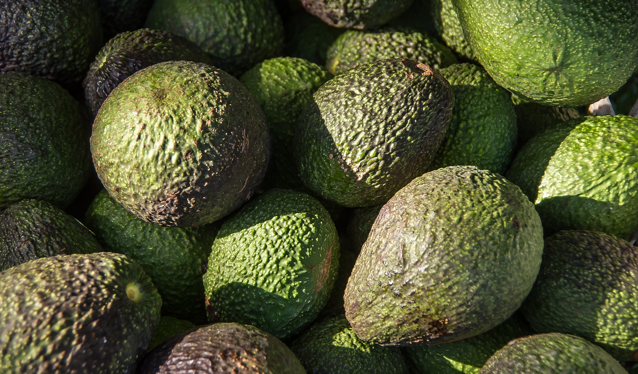 hass avocado avocados fruit free photo