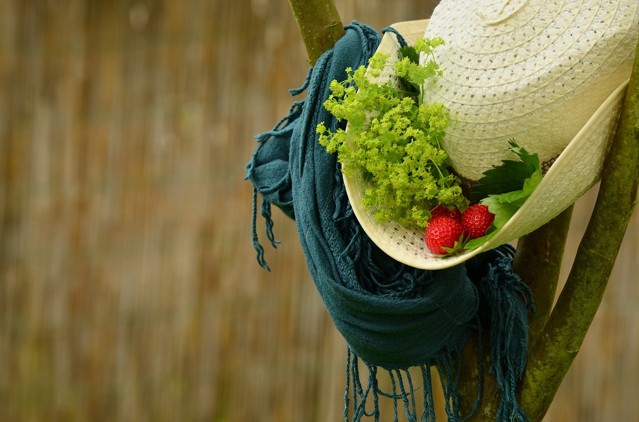 hat summer straw hat free photo