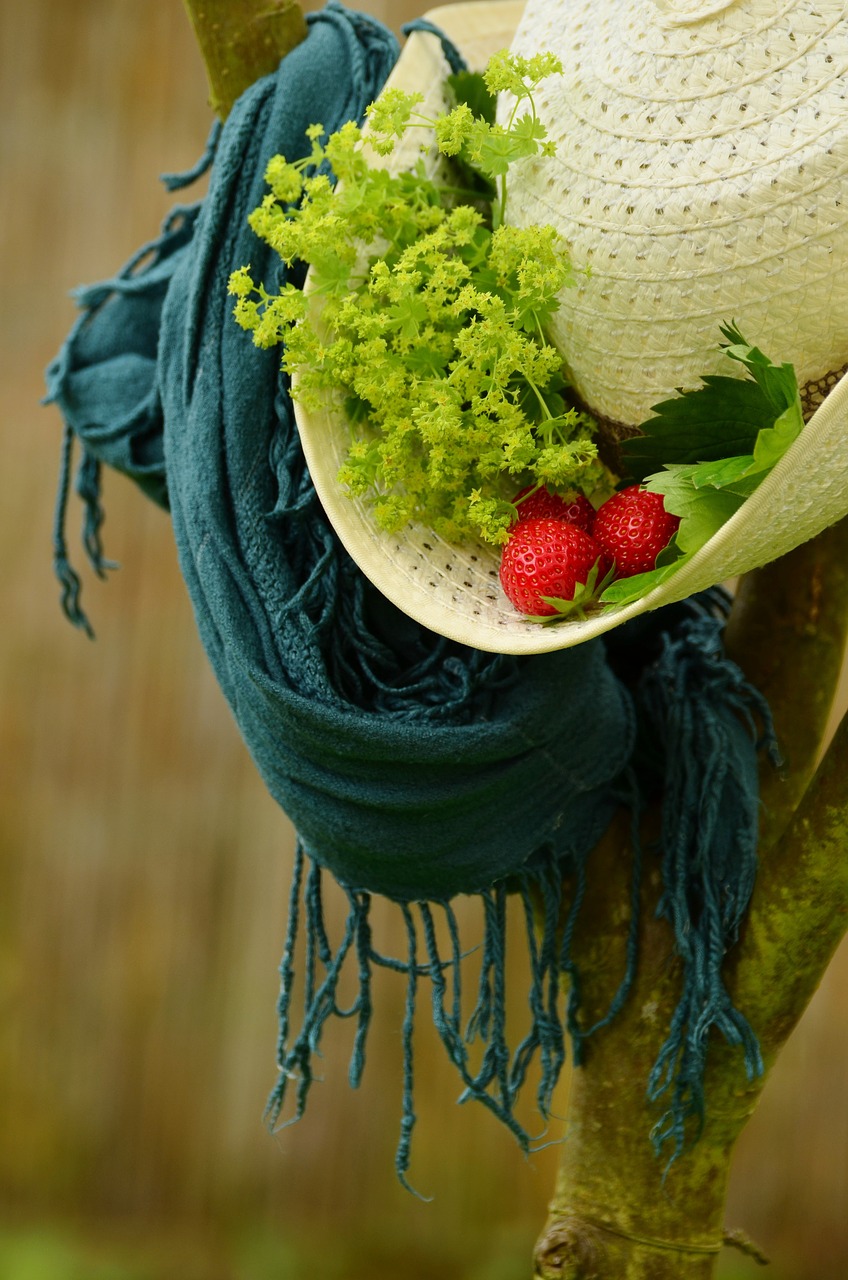 hat summer straw hat free photo